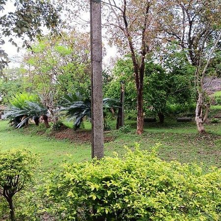 Aligama Cottage Talakolawela Zewnętrze zdjęcie