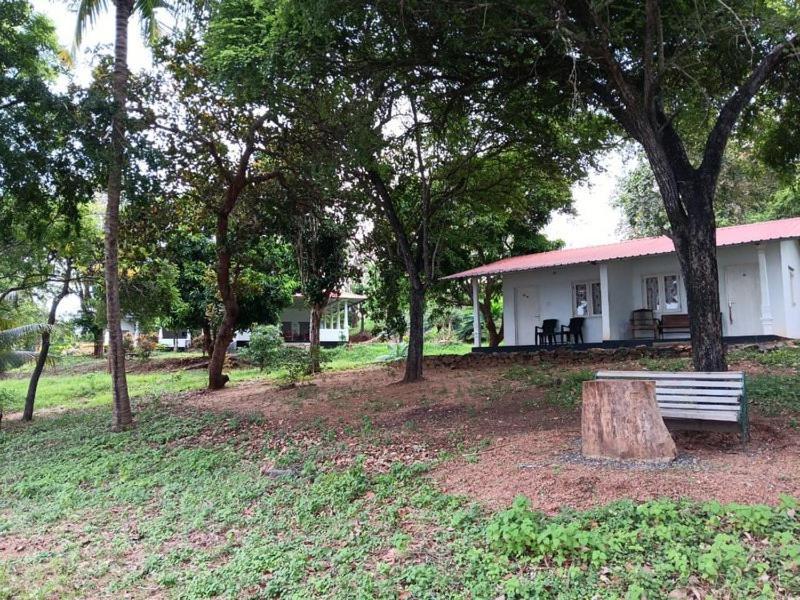 Aligama Cottage Talakolawela Zewnętrze zdjęcie